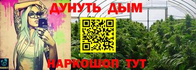 шишки Ипатово